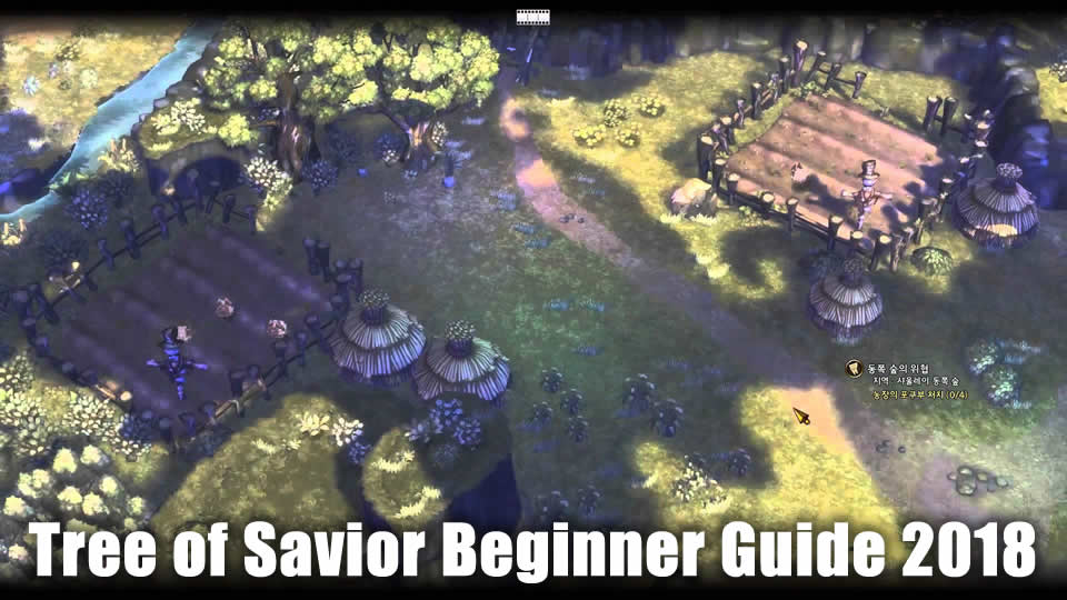 Tree of Savior Beginner Guide 2018